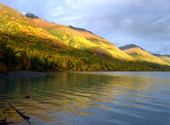 Herbstlich bunte Bergwald- und Seenlandschaft in Alaska