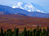 Der höchste Berg Nordamerikas Mount McKinley (6.194 Meter) in Alaska